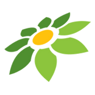 LINK MACANWIN